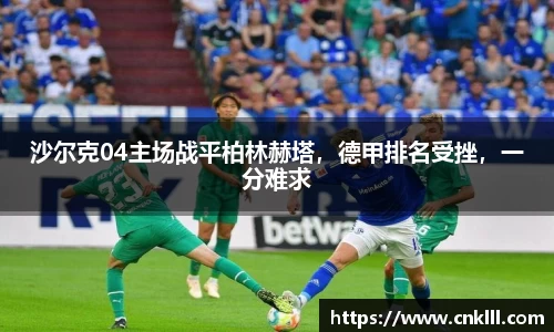 球速体育