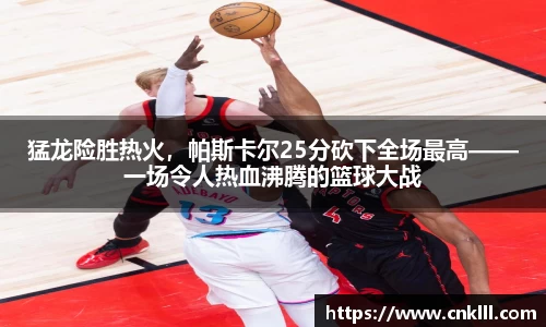 球速体育官网