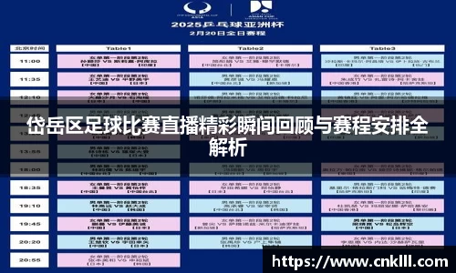 球速体育