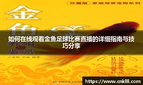球速体育