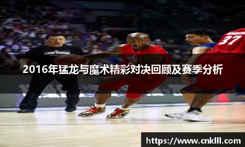 球速体育网页版登录入口